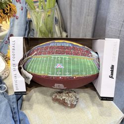 Custom Hand-Painted Football – Personalized Team or Stadium 🎨🏈
