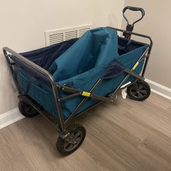 Beach Wagon 