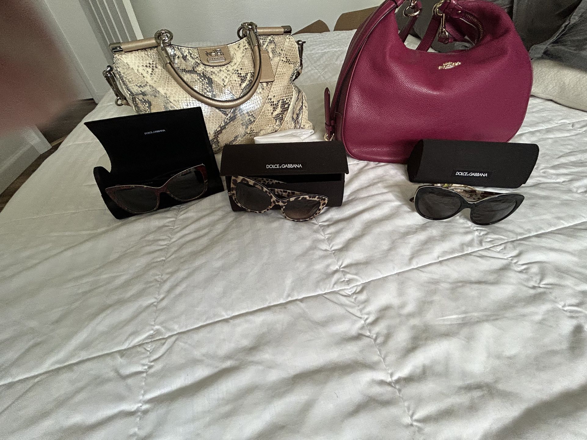 Coach purses/ Dolce & Gabbana Sunglasses