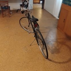 Classic Vista Exercising Bike