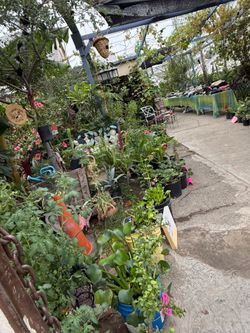 Yards sale en San Bernardino