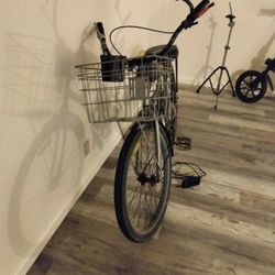 Motorized Beach cruiser 