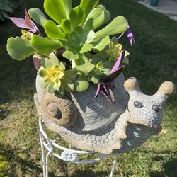 Large Snail Succulent Planter