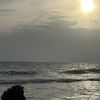 Chitragowri
