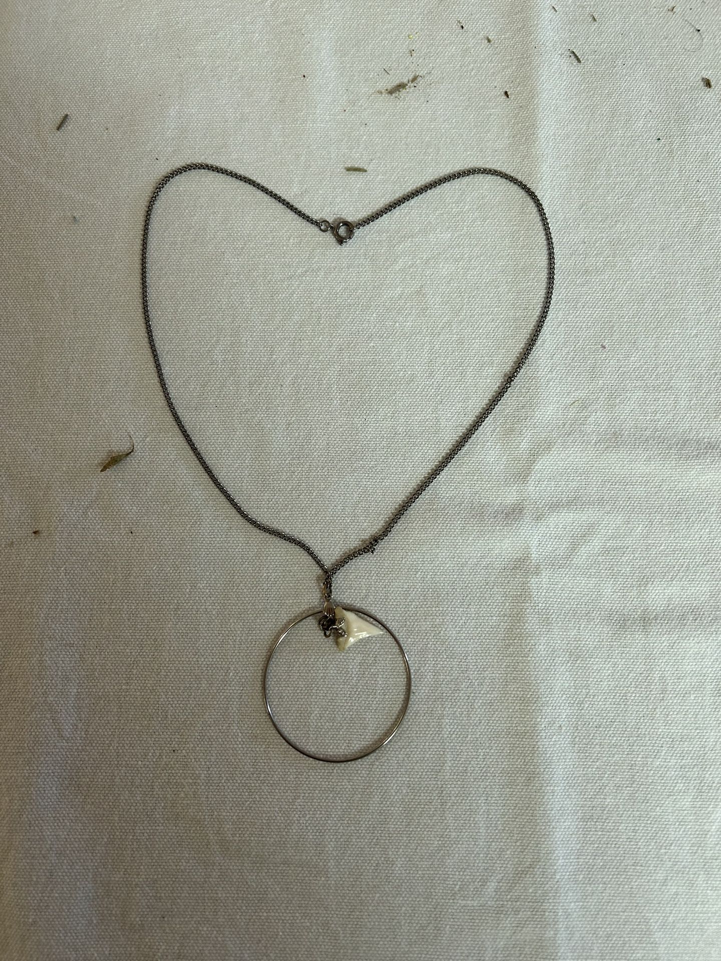 Necklace With Silver Chain And Shark Tooth