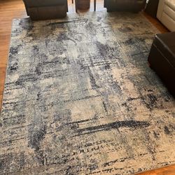 Steinhafels Area Rug 10’x8’