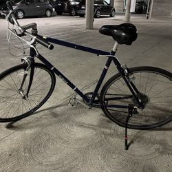 Public Bike V8 Aluminum