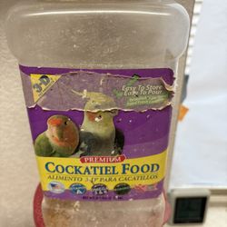 Comida Para Canarios