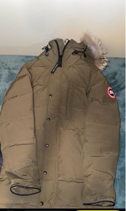Canada goose