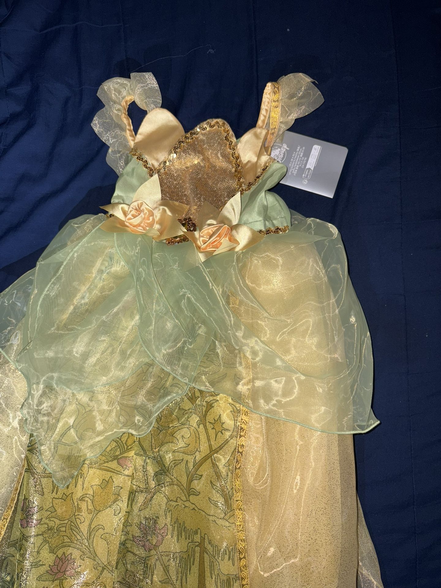 Ball Gown Princess Tiana Costume For Baby Princess Tiana Birthday