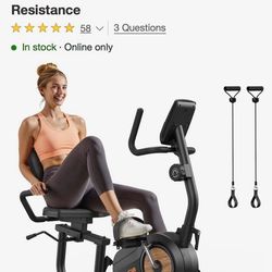 Recumbent Exercise Bike
