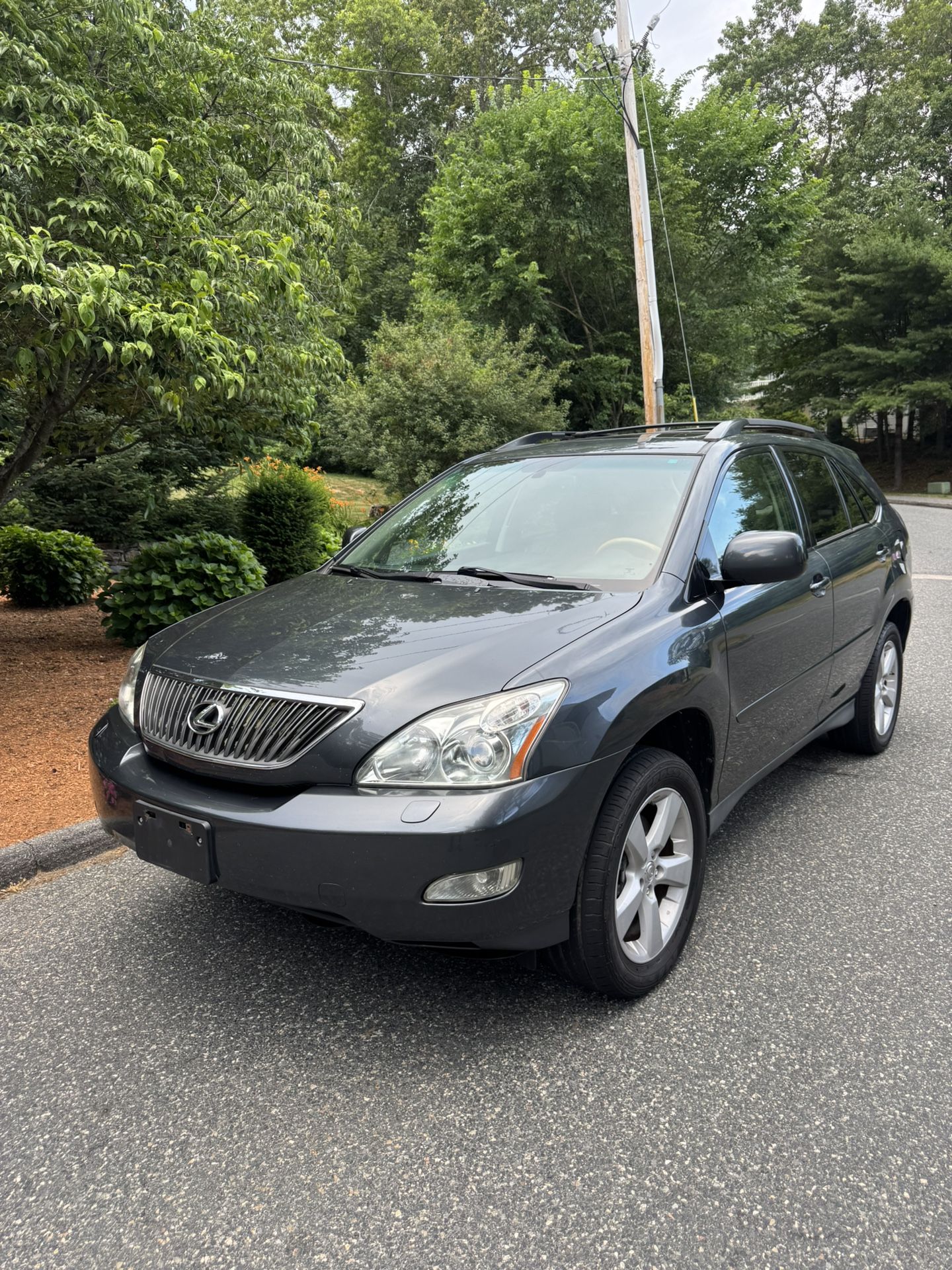 2007 Lexus Rx 350