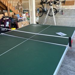 Ping Pong Table