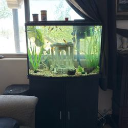 Free 36 Gallon Tank With Fish