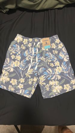 Men’s Chubbies Swim Trunks
