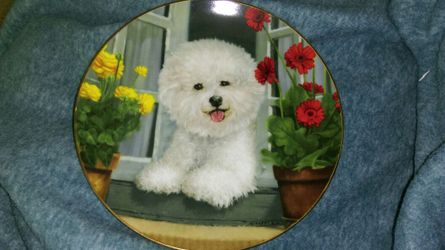 Bichon Frise Danbury collector plate numbered