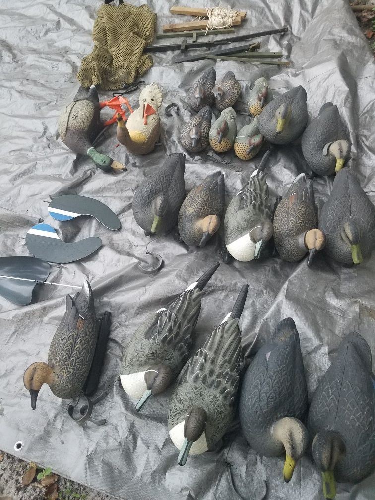 Decoy 14 big ducks ,6 small ducks & miss show on pics All for $135 Location Mount Dora Fla 32757