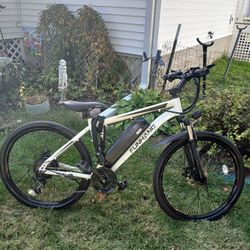 Electric Bike