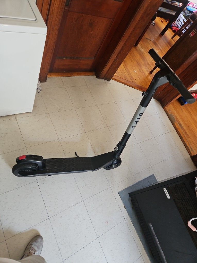BIRD SCOOTER