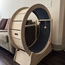 Cat Exercise Wheel with Cat Teaser