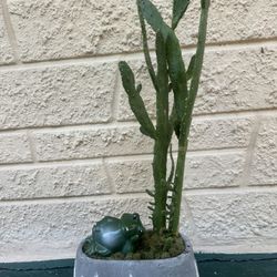 Prickly Pear Cactus  fairy plant in a stone planter.