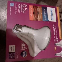 Light Bulbs