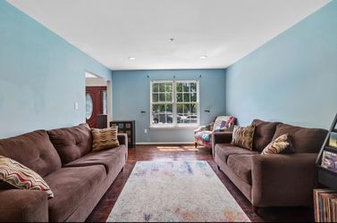 Sofa and loveseat with area rug, beautiful and soft