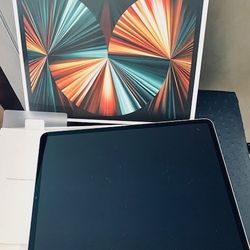 Apple iPad Pro 5th Gen - 256GB, Wi-Fi + 5G, 12.9in - SILVER - Mint Condition