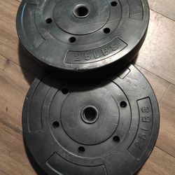 Pair Of 25 Lb Weights