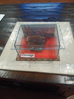 SCORPION IN A GLASS CASE 