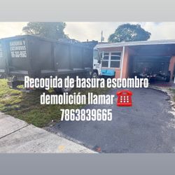 Recogida de Basura Y Escombro Demolición 