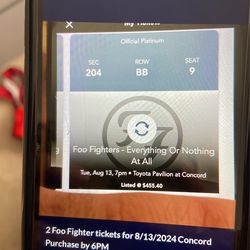 2 Foo Fighter Tickets For 8/13/2024