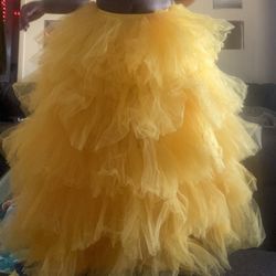 Tutu (brand New ) 