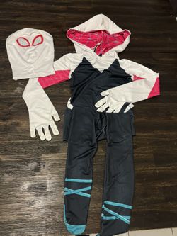 Spider Girl Costume
