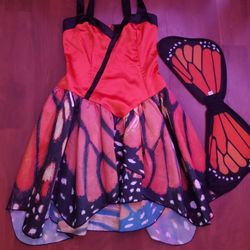 Monarch Beautiful Butterfly Size Medium