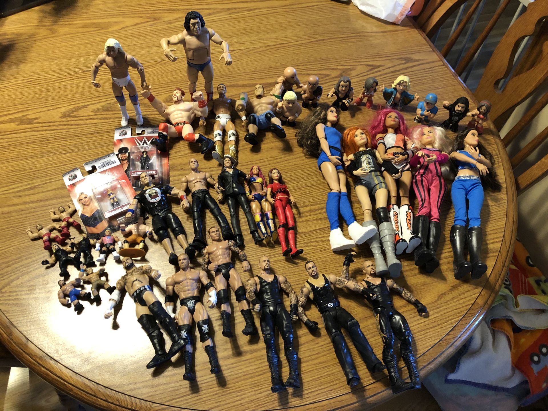 WWE Wrestler Figures