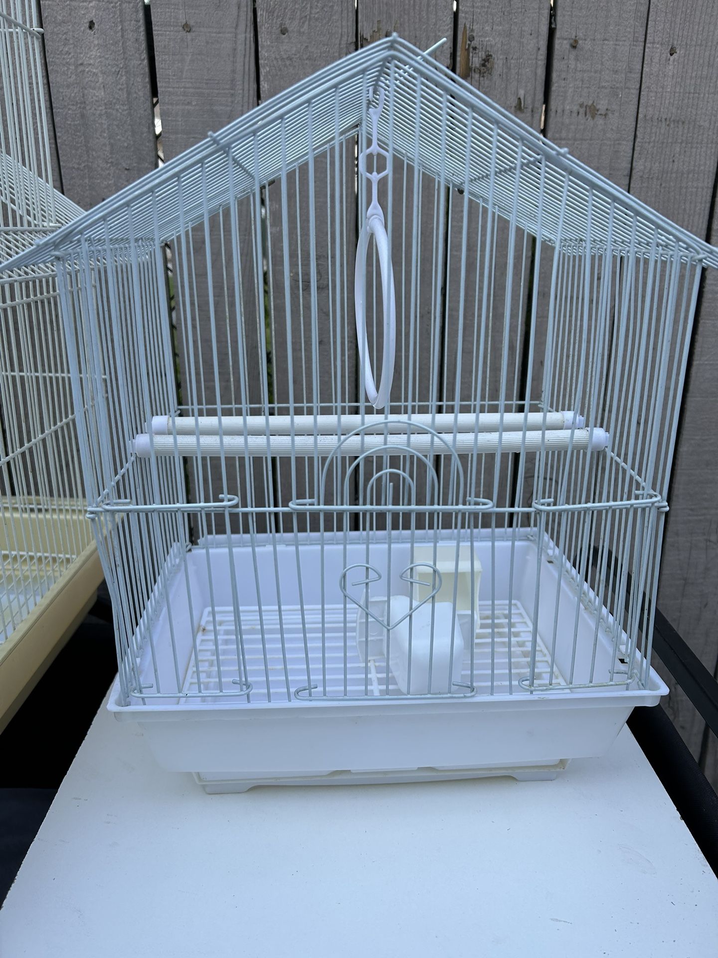 Bird Cage