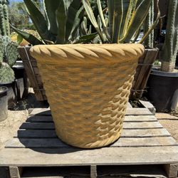Cement Planter