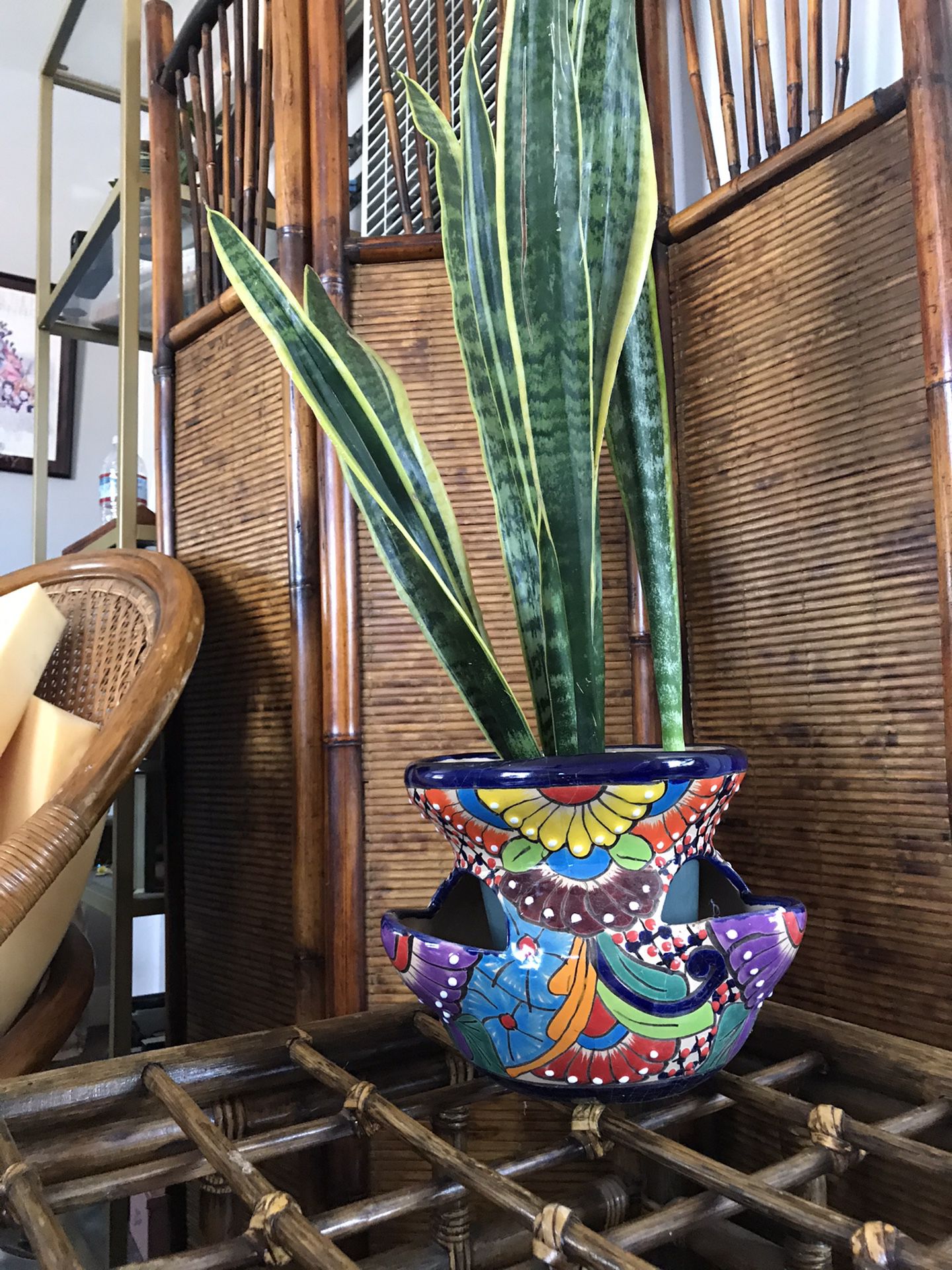 Beautiful Talavera Plant Pot