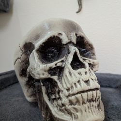 Plastic Skull