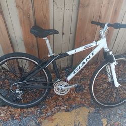 26"Giant