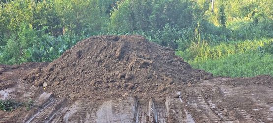 🚨🚨FREE DIRT FREE DELIVERY🚨🚨