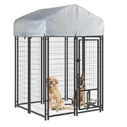 LEMBERI 4x4x6 FT Outdoor Dog Kennel
