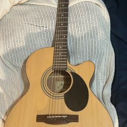 Jasmine Guitar 