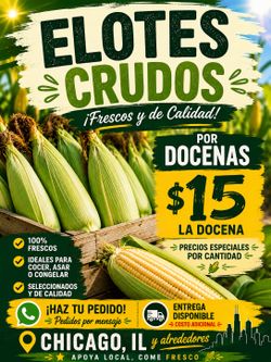 Fresh Sweet Corn – $15/Dozen | Chicago, IL