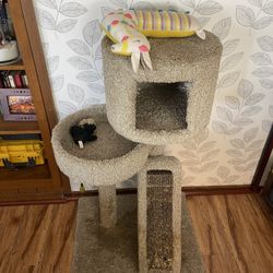 Cat Playground