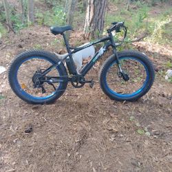 Ecotric Sportcool Fat Tire E-bike