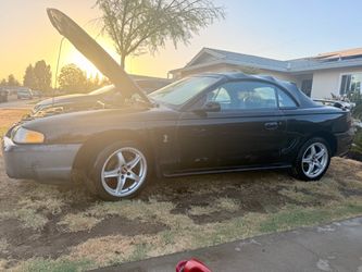 1996 Ford Mustangs Cobra