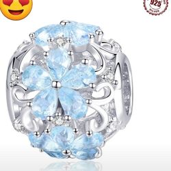 Winter Collection 925 Gorgeous Silver Charms