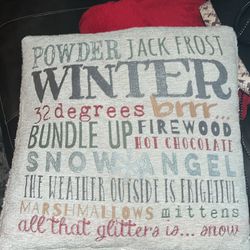 Winter throw pillow